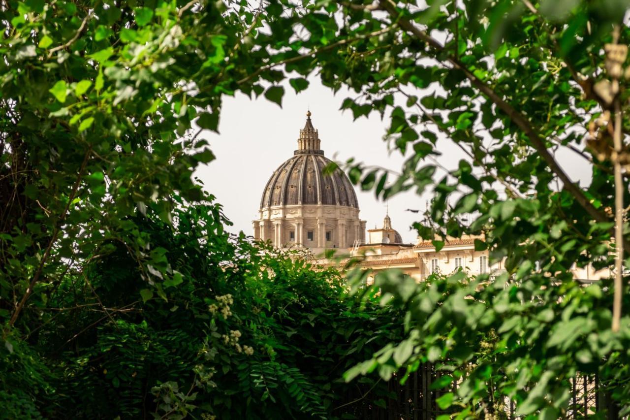 Clivo's 1 Buddyrent * Roma